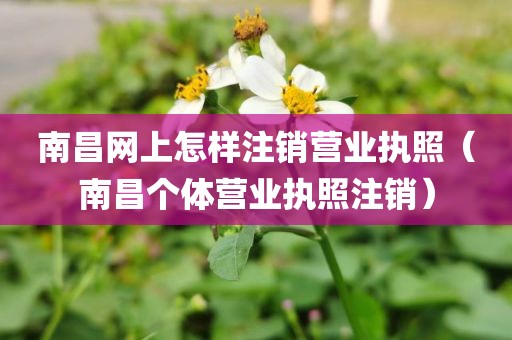 南昌网上怎样注销营业执照（南昌个体营业执照注销）