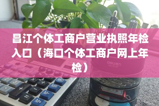 昌江个体工商户营业执照年检入口（海口个体工商户网上年检）