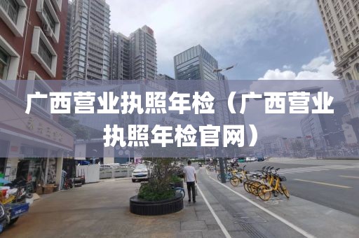广西营业执照年检（广西营业执照年检官网）