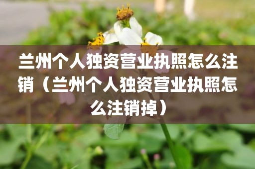 兰州个人独资营业执照怎么注销（兰州个人独资营业执照怎么注销掉）