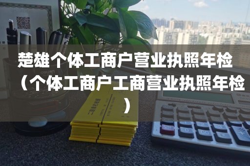 楚雄个体工商户营业执照年检（个体工商户工商营业执照年检）