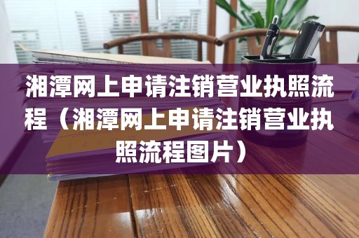 湘潭网上申请注销营业执照流程（湘潭网上申请注销营业执照流程图片）