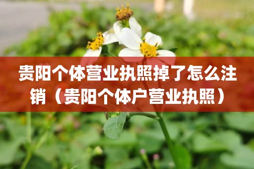 贵阳个体营业执照掉了怎么注销（贵阳个体户营业执照）