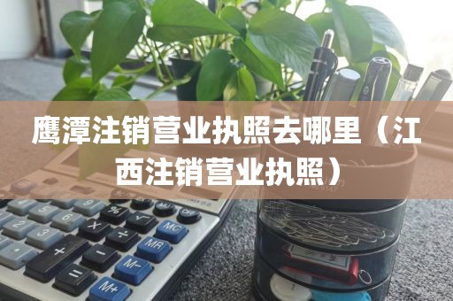 鹰潭注销营业执照去哪里（江西注销营业执照）