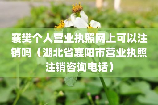 襄樊个人营业执照网上可以注销吗（湖北省襄阳市营业执照注销咨询电话）