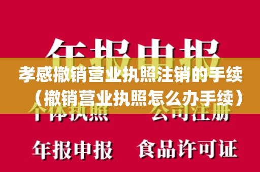 孝感撤销营业执照注销的手续（撤销营业执照怎么办手续）