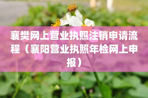 襄樊网上营业执照注销申请流程(襄阳营业执照年检网上申报)