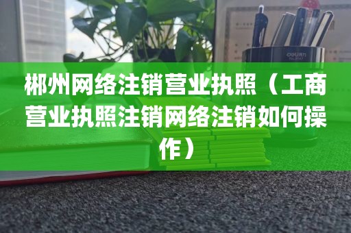 郴州网络注销营业执照（工商营业执照注销网络注销如何操作）