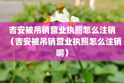 吉安被吊销营业执照怎么注销（吉安被吊销营业执照怎么注销啊）