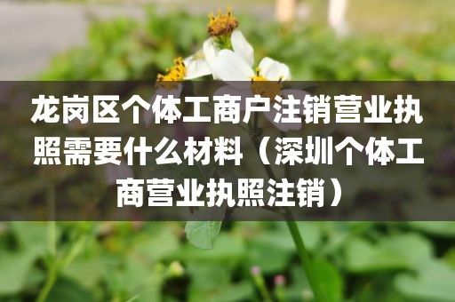 龙岗区个体工商户注销营业执照需要什么材料（深圳个体工商营业执照注销）
