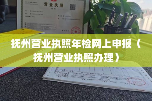 抚州营业执照年检网上申报（抚州营业执照办理）