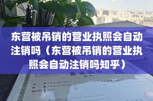 东营被吊销的营业执照会自动注销吗(东营被吊销的营业执照会自动注销吗知乎)