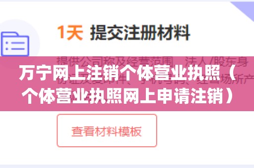 万宁网上注销个体营业执照（个体营业执照网上申请注销）