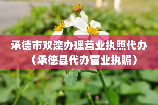 承德市双滦办理营业执照代办（承德县代办营业执照）
