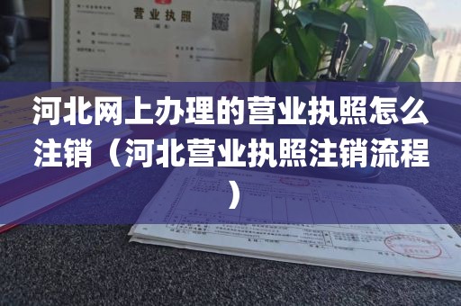 河北网上办理的营业执照怎么注销（河北营业执照注销流程）