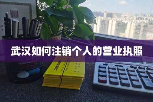 武汉如何注销个人的营业执照