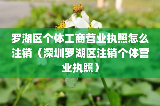 罗湖区个体工商营业执照怎么注销（深圳罗湖区注销个体营业执照）
