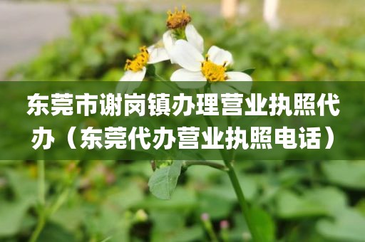 东莞市谢岗镇办理营业执照代办（东莞代办营业执照电话）
