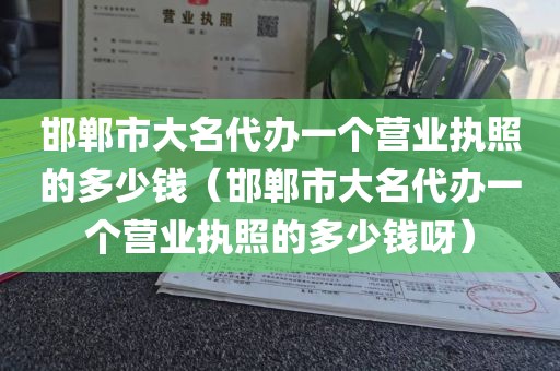 邯郸市大名代办一个营业执照的多少钱（邯郸市大名代办一个营业执照的多少钱呀）