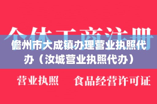 儋州市大成镇办理营业执照代办（汝城营业执照代办）