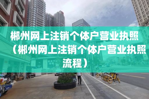 郴州网上注销个体户营业执照（郴州网上注销个体户营业执照流程）