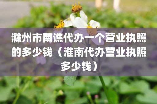 滁州市南谯代办一个营业执照的多少钱（淮南代办营业执照多少钱）