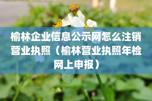 榆林企业信息公示网怎么注销营业执照（榆林营业执照年检网上申报）