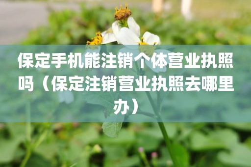 保定手机能注销个体营业执照吗(保定注销营业执照去哪里办)