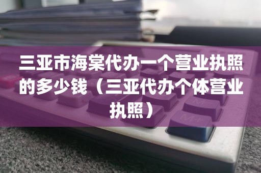 三亚市海棠代办一个营业执照的多少钱（三亚代办个体营业执照）