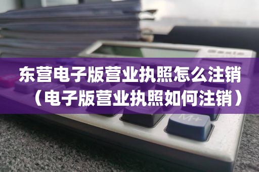 东营电子版营业执照怎么注销（电子版营业执照如何注销）