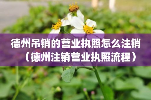德州吊销的营业执照怎么注销(德州注销营业执照流程)