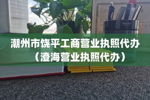 潮州市饶平工商营业执照代办（澄海营业执照代办）