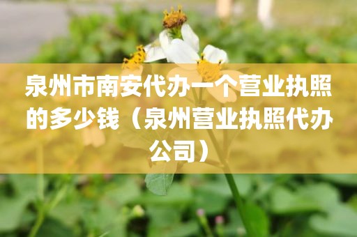 泉州市南安代办一个营业执照的多少钱（泉州营业执照代办公司）