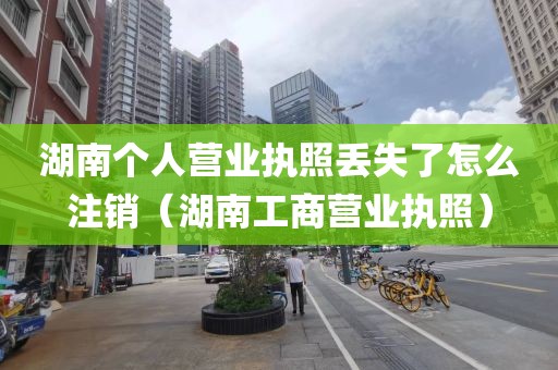 湖南个人营业执照丢失了怎么注销（湖南工商营业执照）