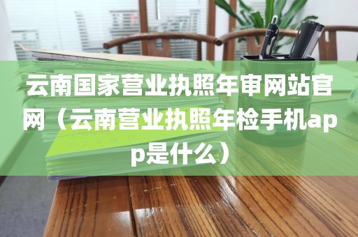 云南国家营业执照年审网站官网（云南营业执照年检手机app是什么）