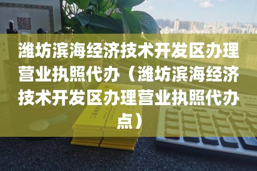 潍坊滨海经济技术开发区办理营业执照代办（潍坊滨海经济技术开发区办理营业执照代办点）