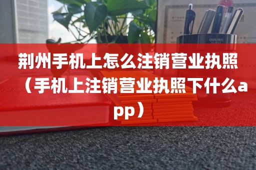 荆州手机上怎么注销营业执照（手机上注销营业执照下什么app）