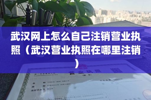 武汉网上怎么自己注销营业执照（武汉营业执照在哪里注销）