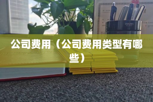公司费用（公司费用类型有哪些）