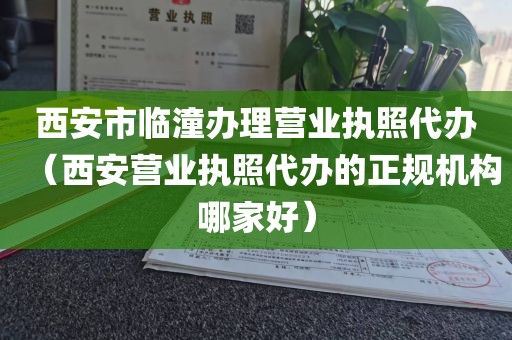 西安市临潼办理营业执照代办（西安营业执照代办的正规机构哪家好）