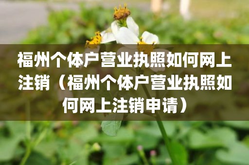 福州个体户营业执照如何网上注销（福州个体户营业执照如何网上注销申请）