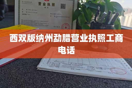 西双版纳州勐腊营业执照工商电话