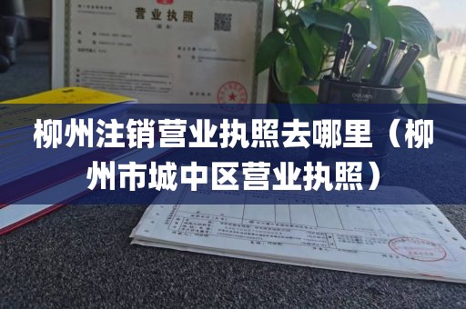 柳州注销营业执照去哪里（柳州市城中区营业执照）