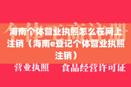 海南个体营业执照怎么在网上注销（海南e登记个体营业执照注销）
