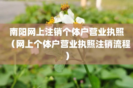 南阳网上注销个体户营业执照（网上个体户营业执照注销流程）