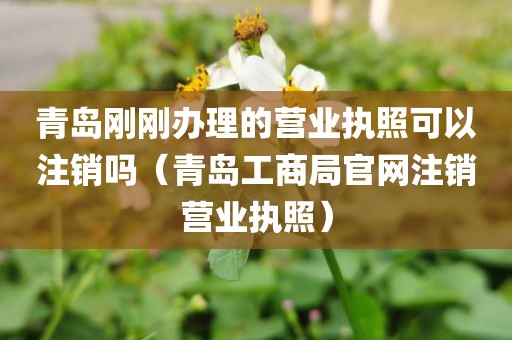 青岛刚刚办理的营业执照可以注销吗（青岛工商局官网注销营业执照）