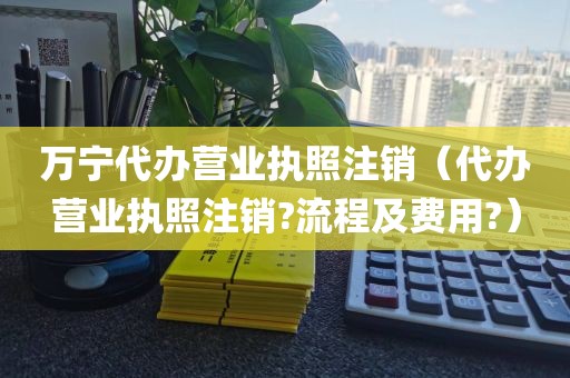 万宁代办营业执照注销（代办营业执照注销?流程及费用?）