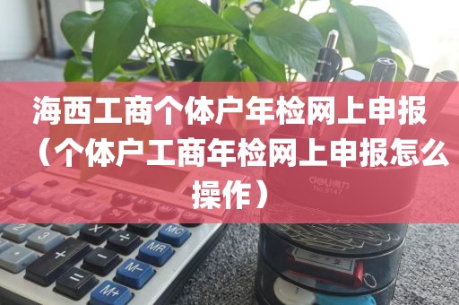 海西工商个体户年检网上申报（个体户工商年检网上申报怎么操作）