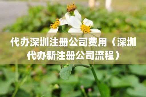 代办深圳注册公司费用（深圳代办新注册公司流程）