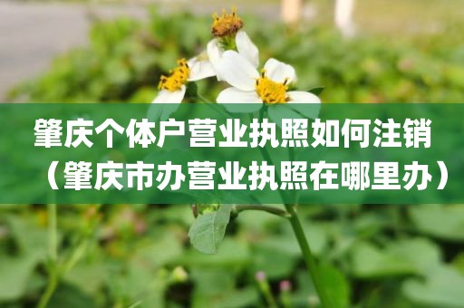 肇庆个体户营业执照如何注销（肇庆市办营业执照在哪里办）